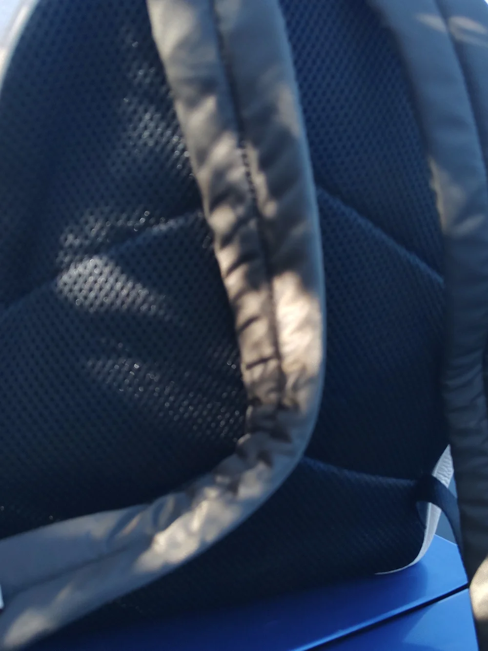 Coach Beige Signature Tiger Backpack